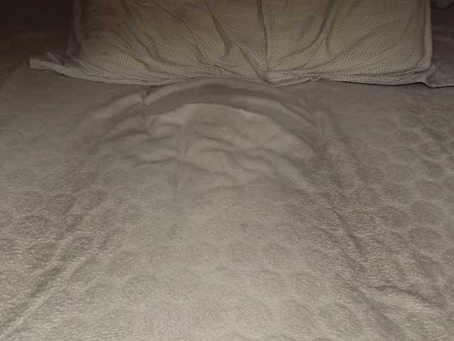 ilona4u from BongaCams is Freechat