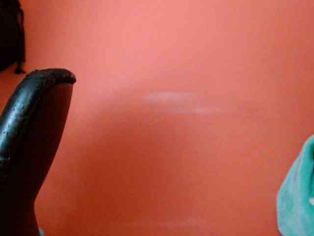 biankastar webcam