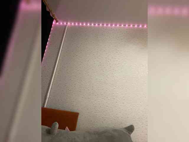 IlonaSai Live Webcam on BongaCams