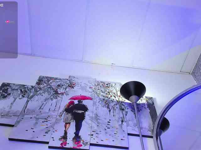 sol-- webcam