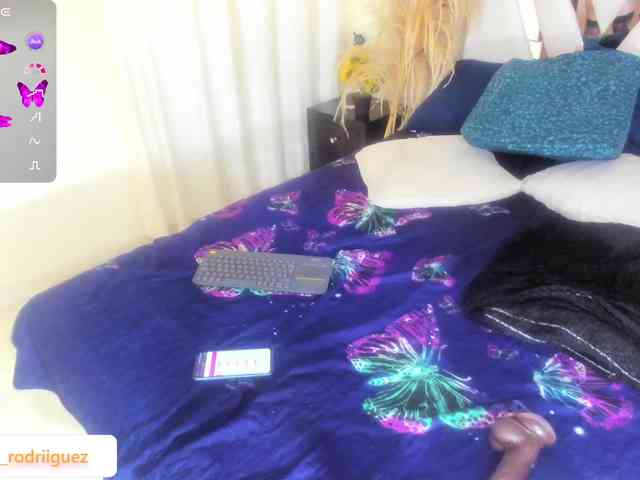 Karla-Rodrigu webcam