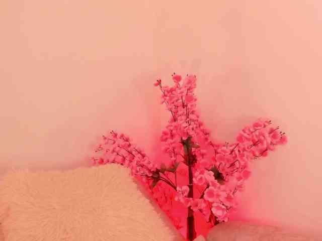 MinnaHeart webcam