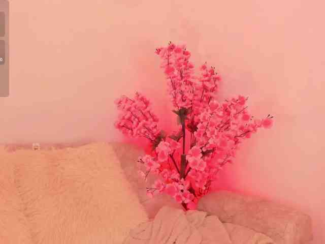 MinnaHeart webcam