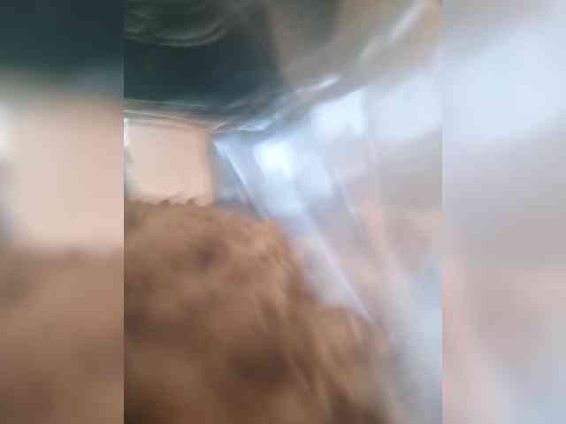 KLUBHICHKA webcam