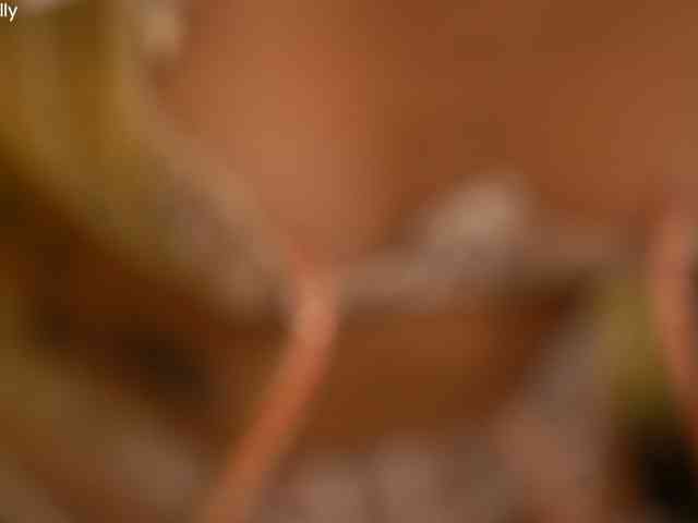 ohbabykelly ohbabykelly