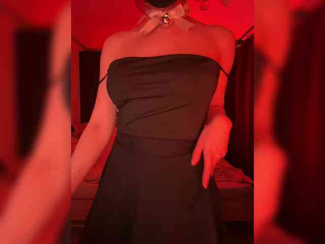 Koshka_Kivi webcam