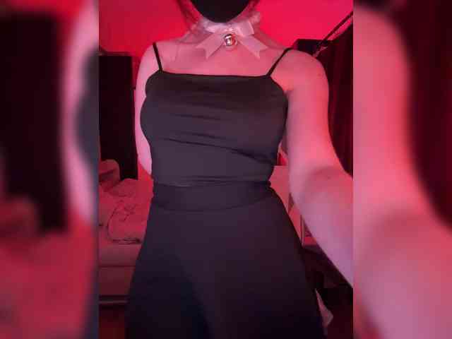 Koshka_Kivi webcam