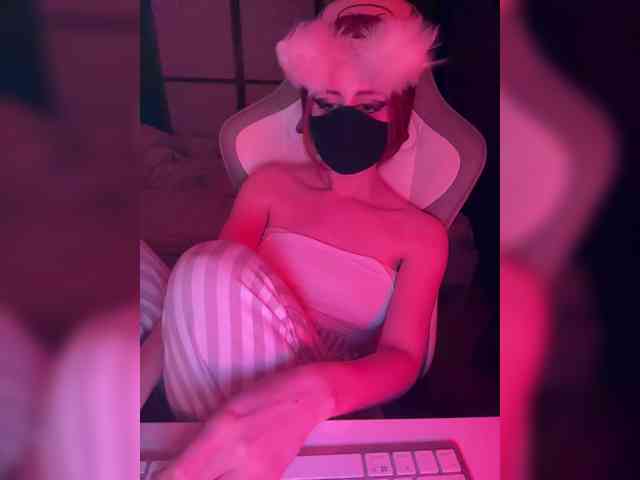 spy cam Kivi-