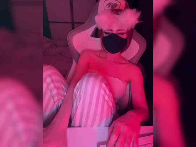 spy cam Kivi-