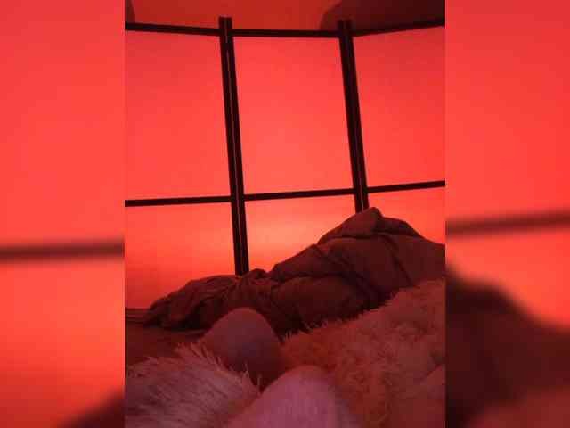 Koshka_Kivi webcam