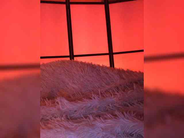 Koshka_Kivi webcam