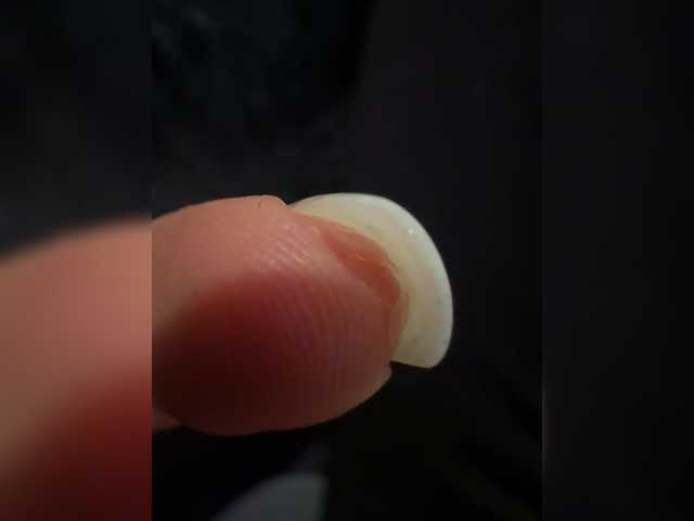 beautifulCat3 live cam