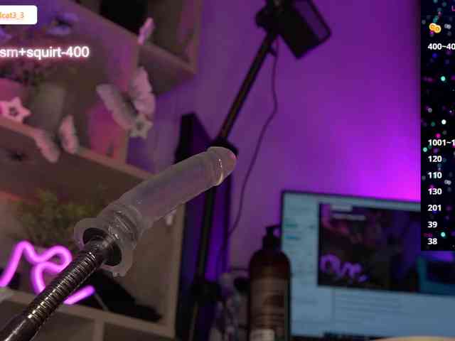 Ariel-la webcam