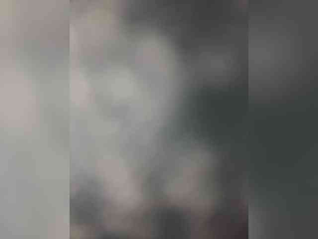 Ariel-la webcam