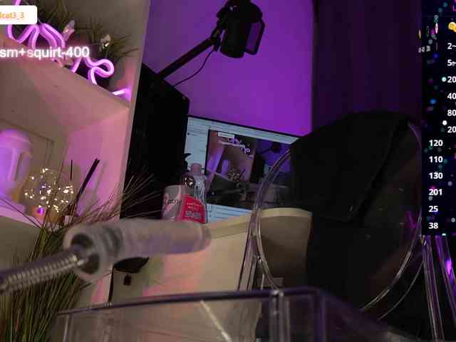 Ariel-la webcam