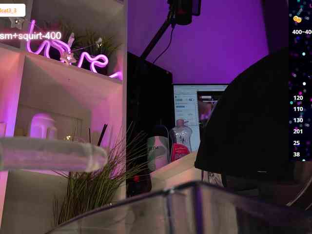 Ariel-la webcam