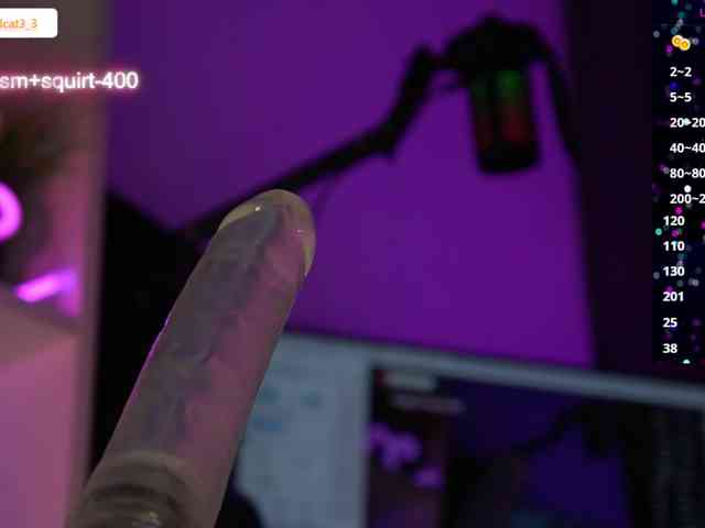 Ariel-la webcam