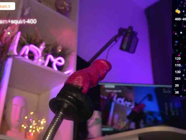 Ariel-la webcam