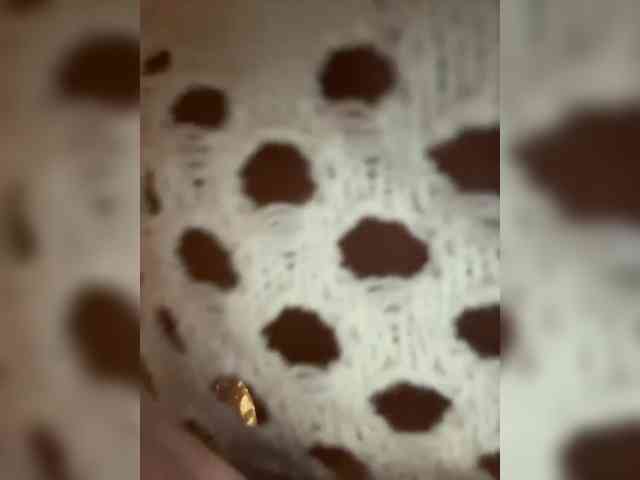 sladkaya_bulochka webcam