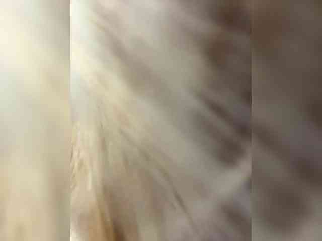 sladkaya_bulochka webcam