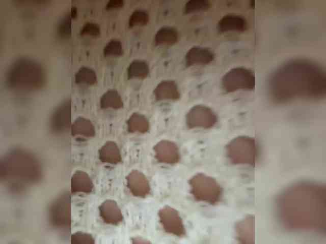 sladkaya_bulochka webcam