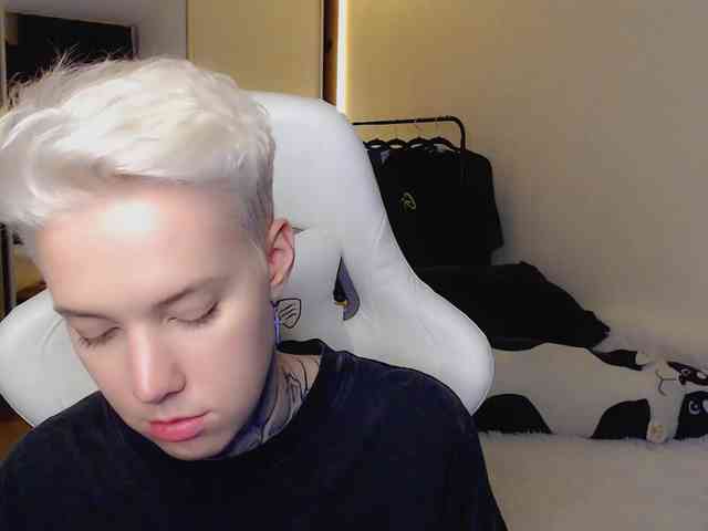 tezes webcam