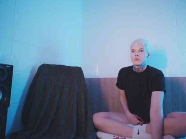 tezes webcam