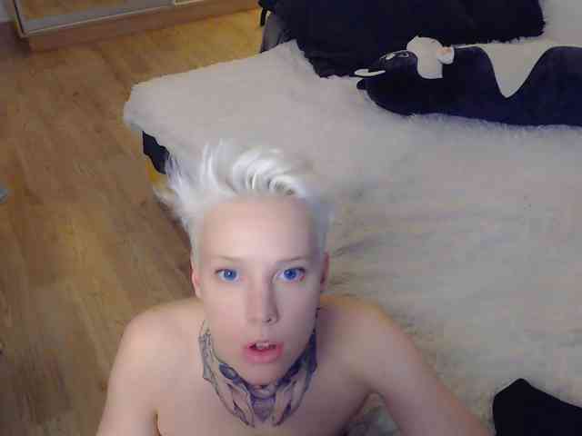 tezes webcam