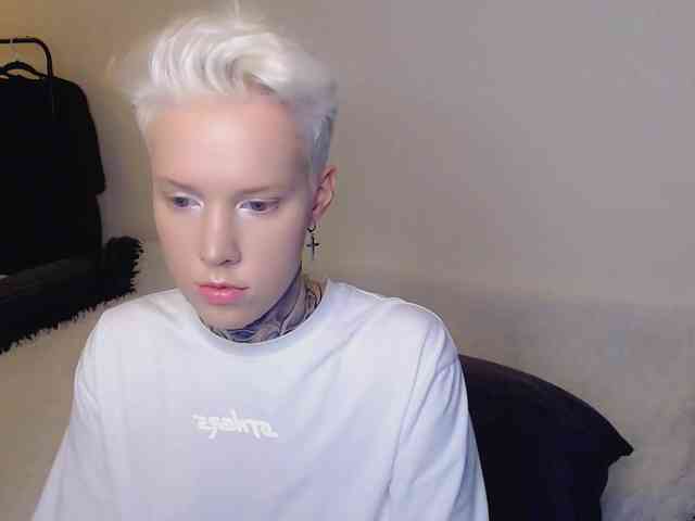 tezes webcam