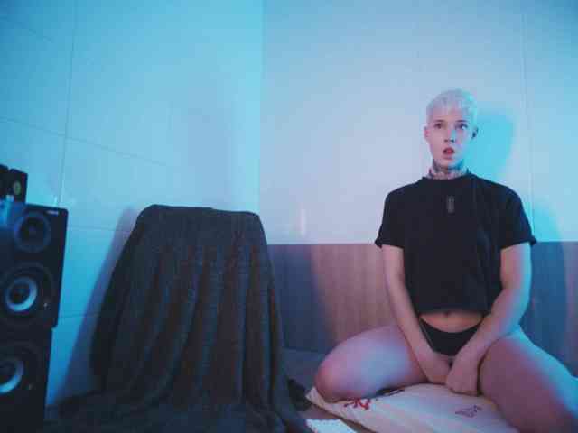 tezes webcam