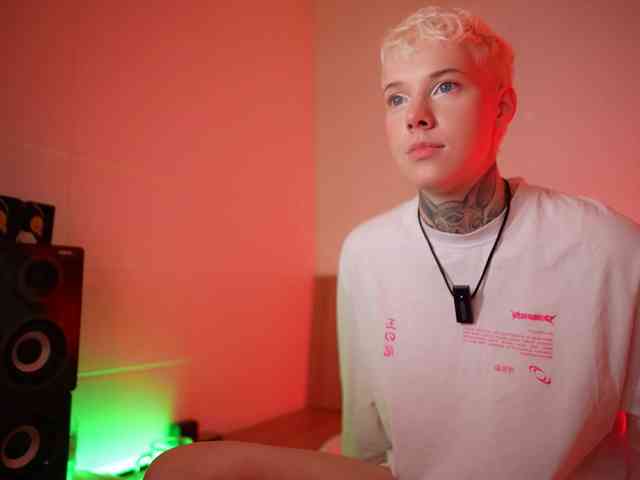 tezes webcam