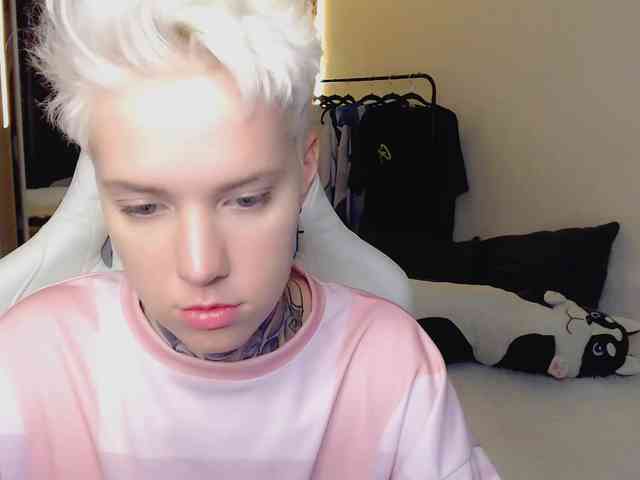 tezes webcam