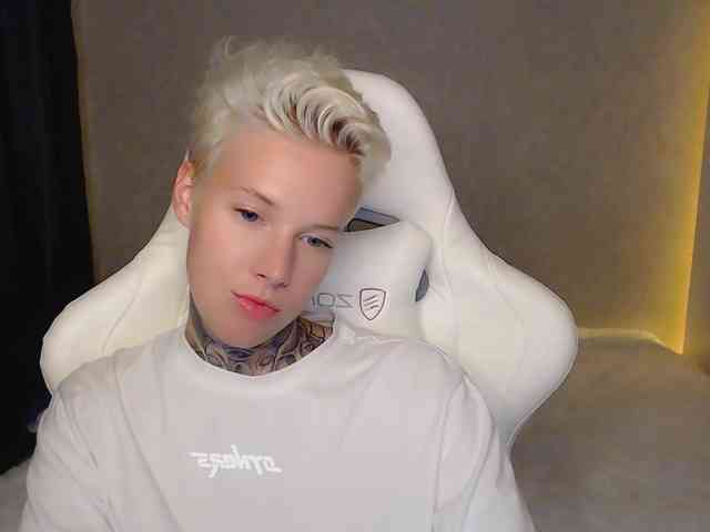tezes webcam