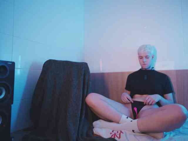 tezes webcam