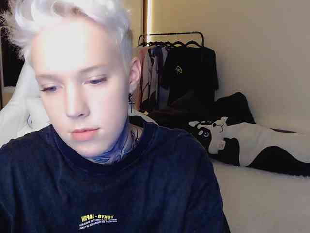 tezes webcam