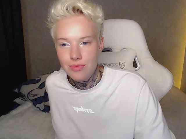 tezes webcam