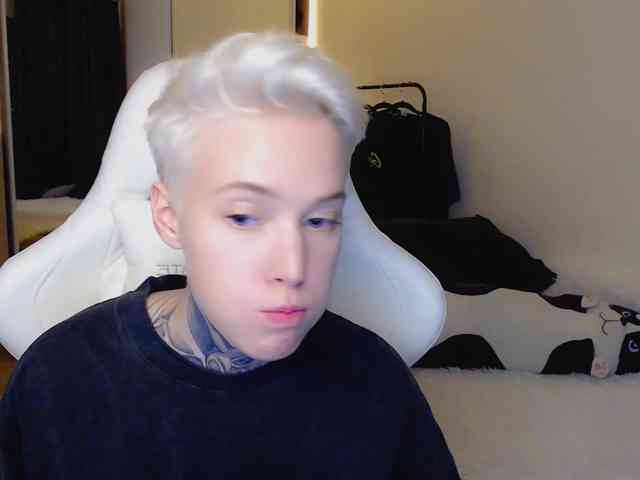 tezes webcam