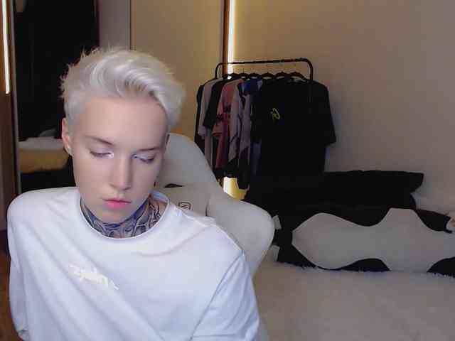 tezes webcam