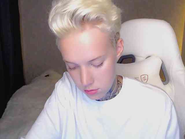 tezes webcam