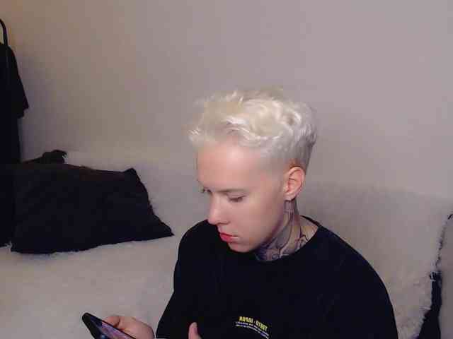 tezes webcam