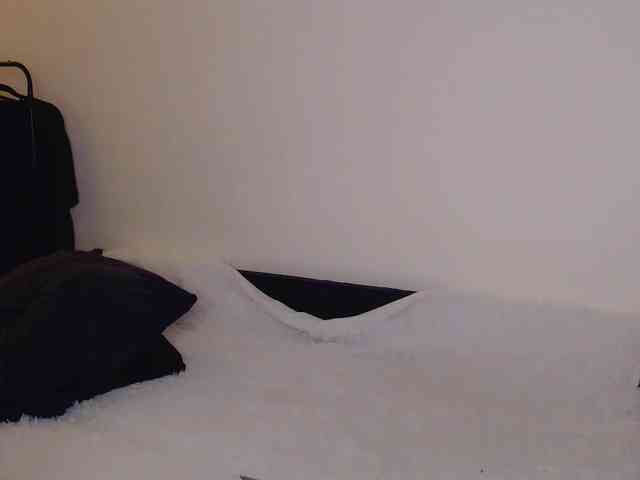tezes webcam