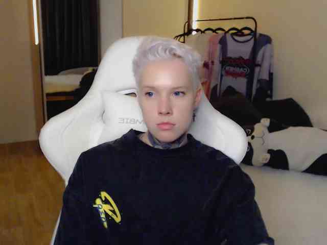 tezes webcam