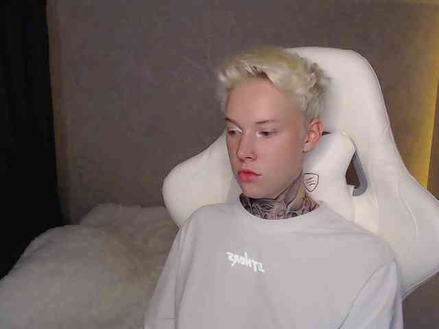 tezes webcam