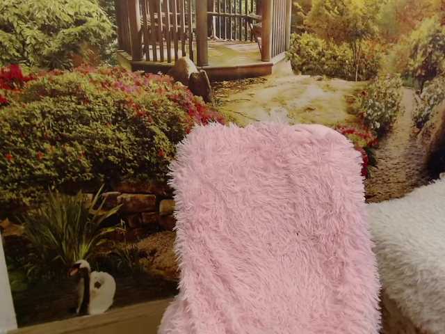 PavlaAdore's BongaCams show and profile