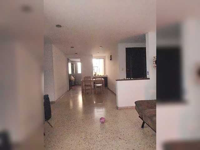 littleDanni's BongaCams show and profile