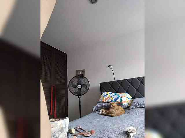 littleDanni webcam
