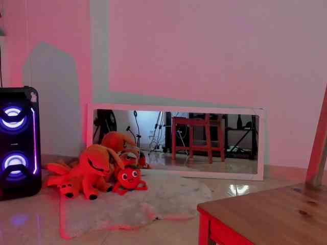 littleDanni webcam