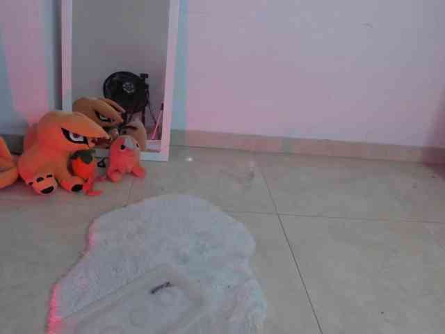 littleDanni webcam