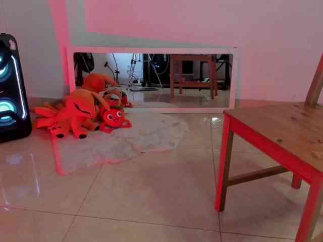 littleDanni webcam