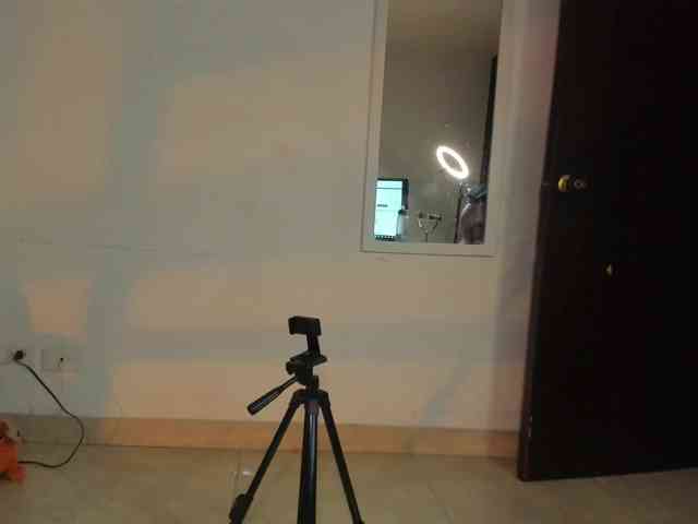 littleDanni webcam